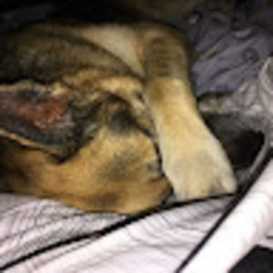 Meet your Posher, Becky